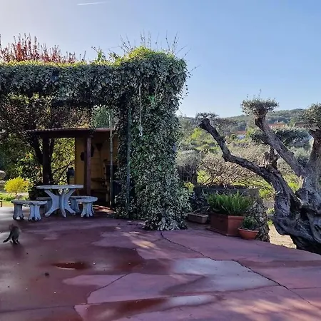 Casa No Campo Com Piscina Privada Fungalvaz